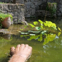 Photo de France - Le Jardin de Saint-Adrien : une oasis de verdure